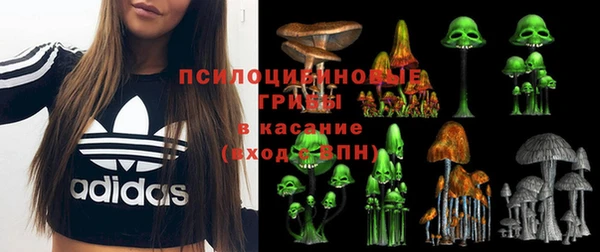 ешки Богородск